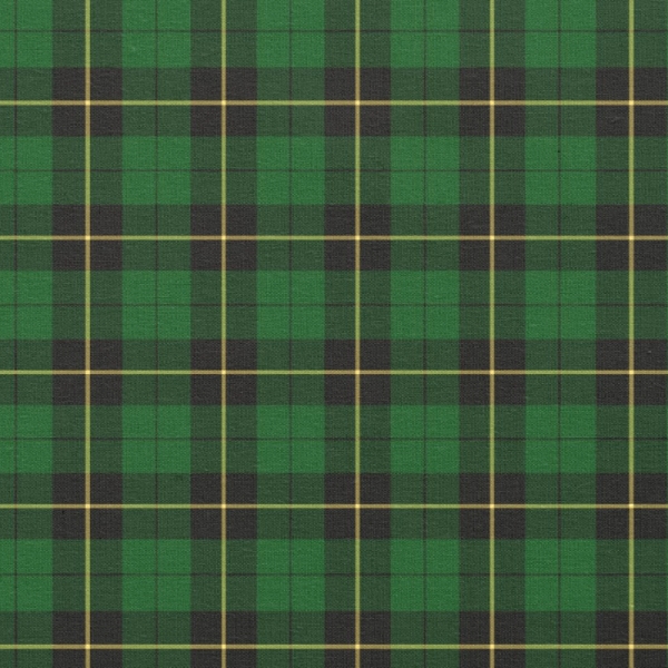 Wallace Hunting tartan fabric