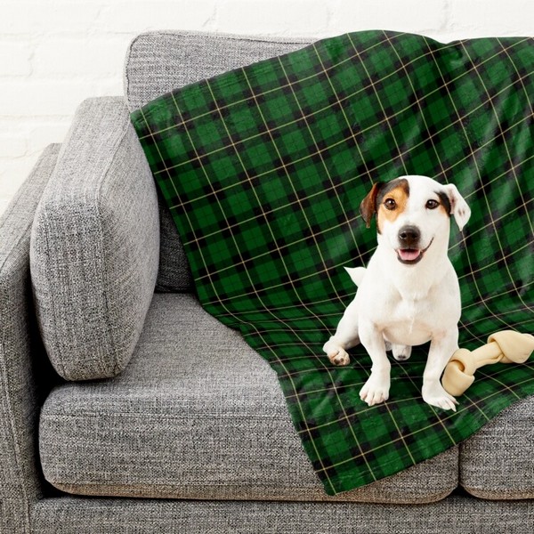 Clan Wallace Hunting Tartan Pet Blanket