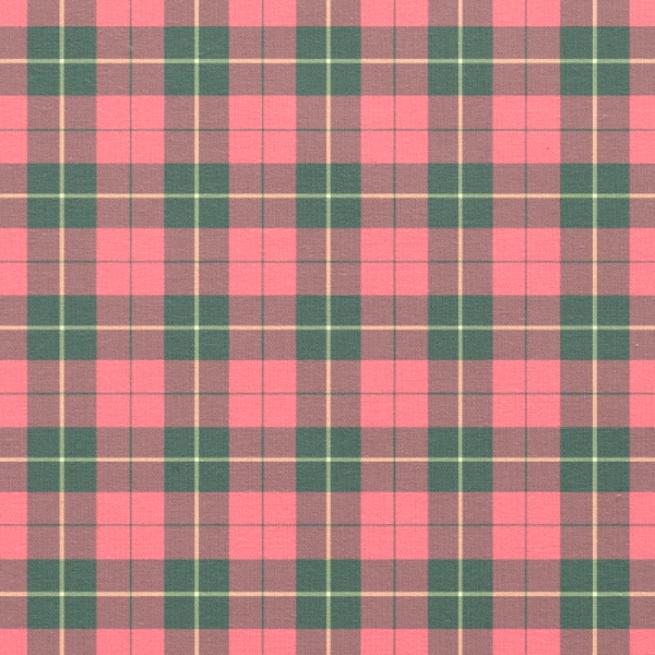 Wallace Weathered tartan fabric