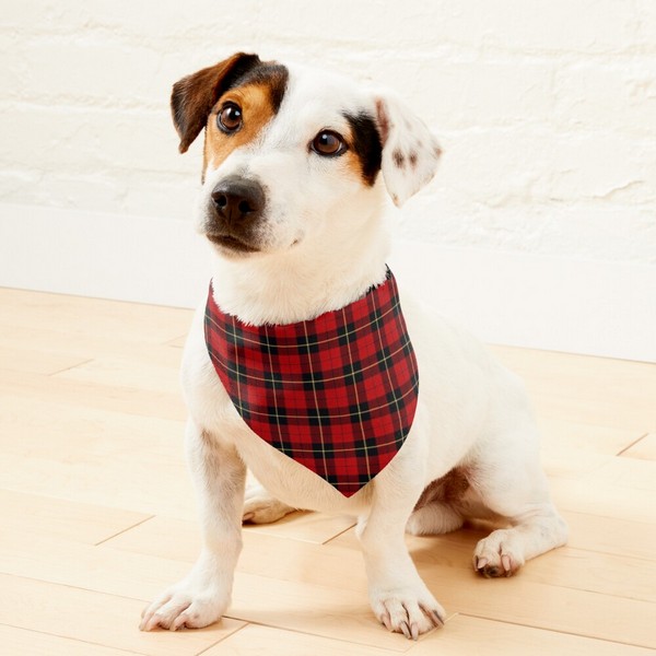 Clan Wallace Tartan Pet Bandana