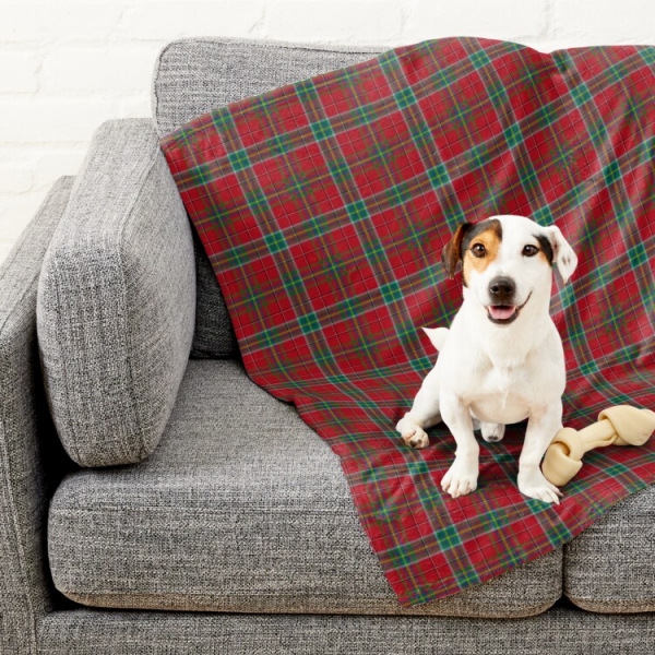 West Virginia Tartan Pet Blanket