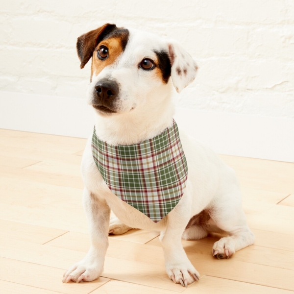 Woodland Christmas plaid pet bandana