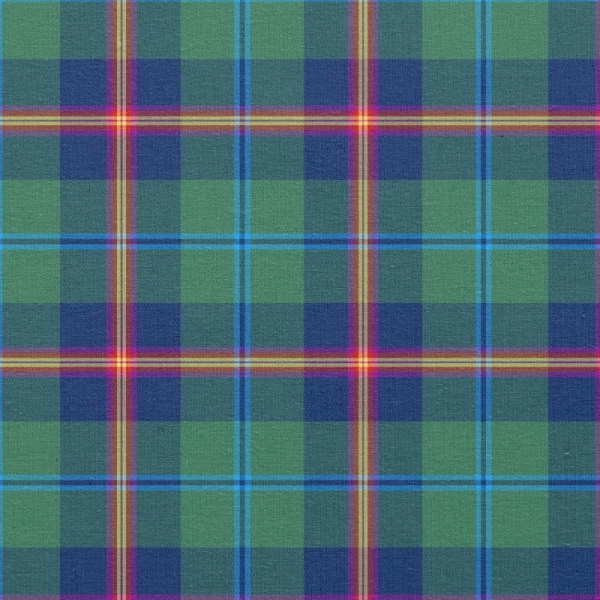 Young tartan fabric