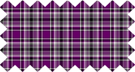 Purple and black plaid