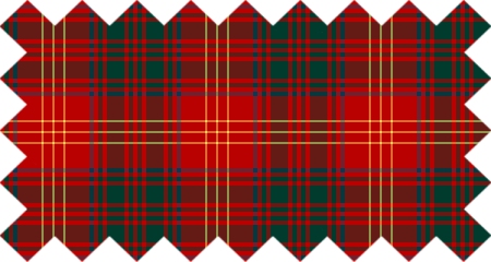 Clan Burns Tartan