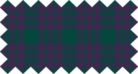 Clan Elphinstone Tartan