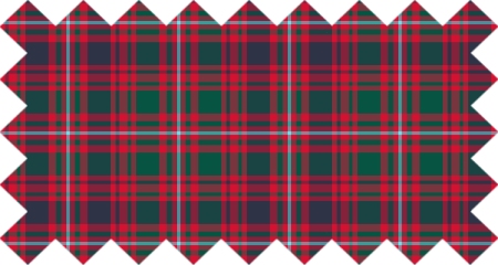 Glen Orchy District Tartan