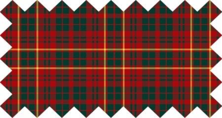 Clan MacRurie Tartan