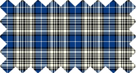 Clan Napier Tartan