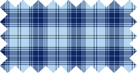 Clan Trainer Tartan