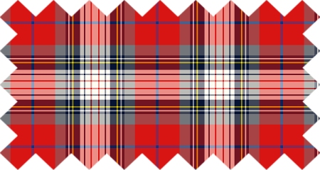 Clan Warden Tartan