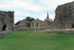 Barnard Castle inner ward view by Susan Wallace