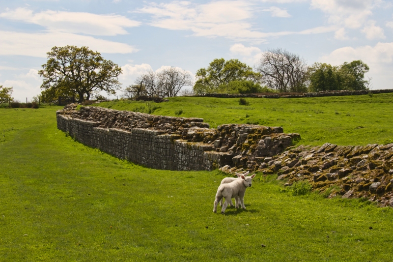 Birdoswald by Mike Peel