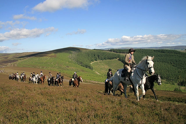 Selkirk Common Riding by Walter Baxter