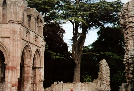 Dryburgh Abbey, Scotland