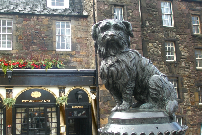 Greyfriars Bobby's by Maciek Szczepaniak