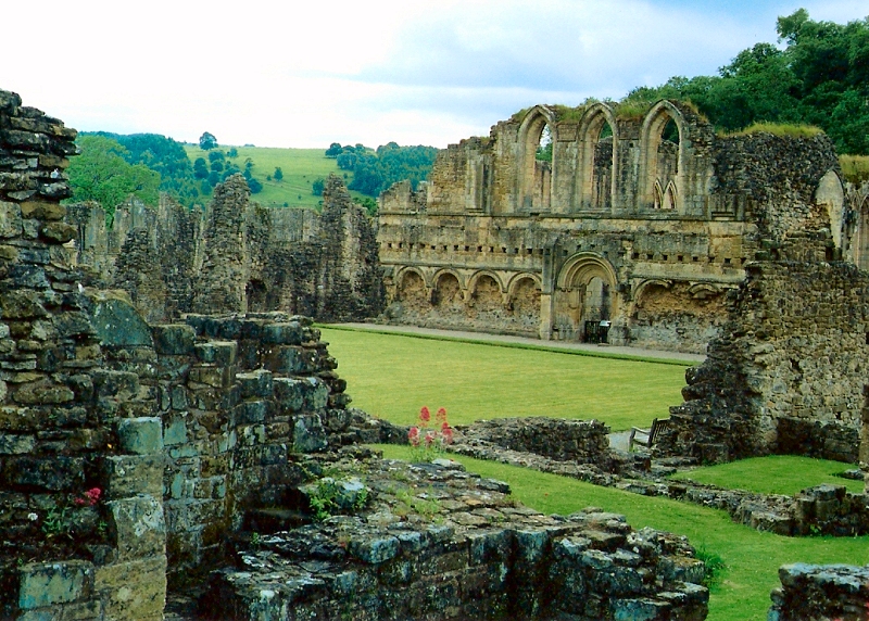 Rievaulx Abbey by Susan Wallace