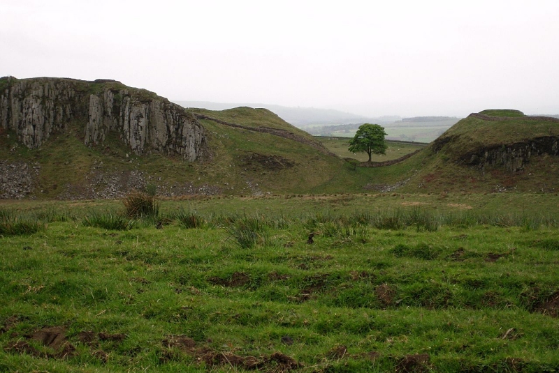 Sycamore Gap by Johnnie Shannon